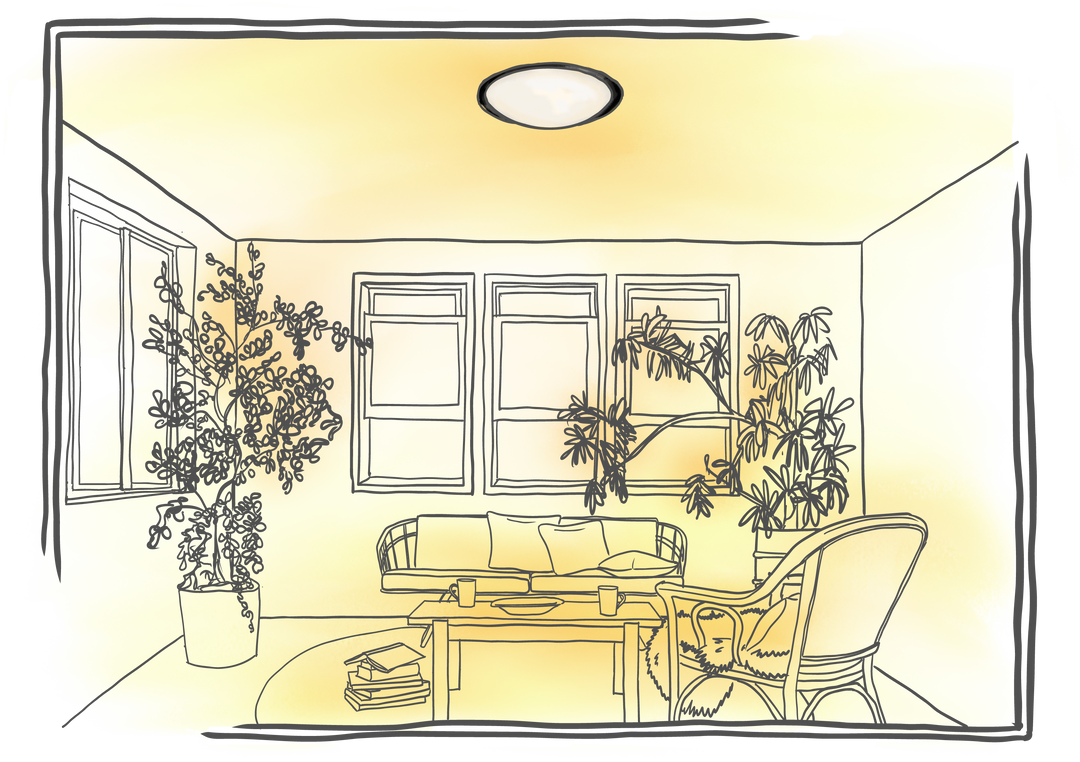 光のコーディネート